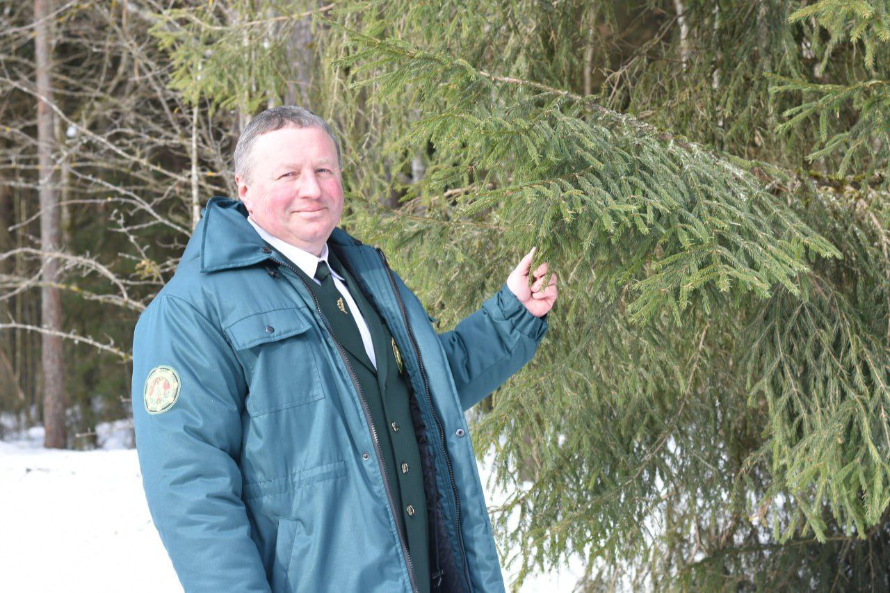 В Беларуси выбрали лучшего лесничего по итогам работы в 2025 году. 