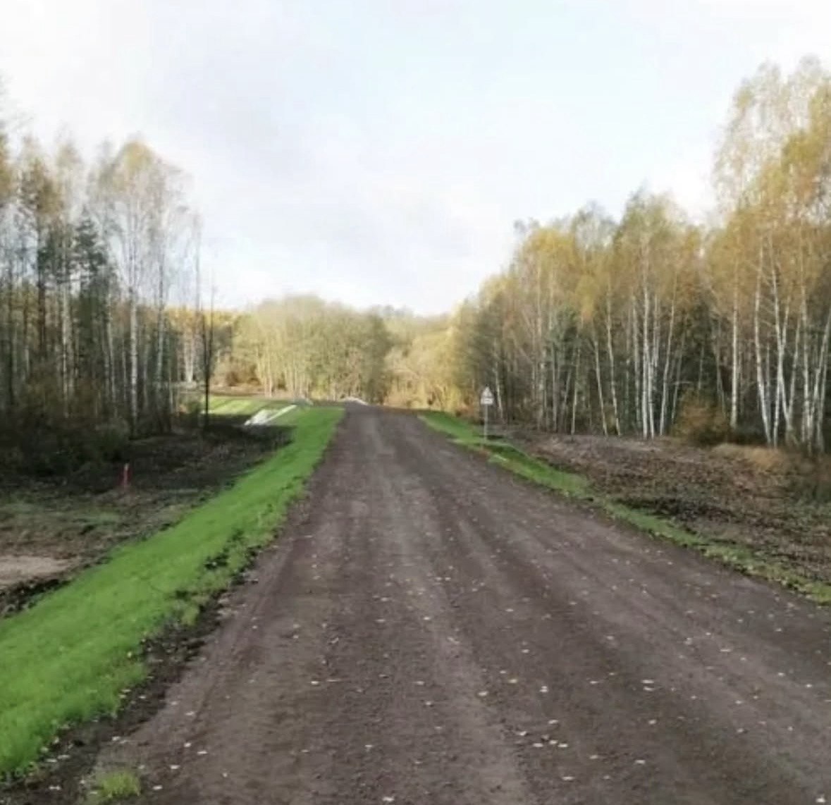 Лесовозы и  дороги. 