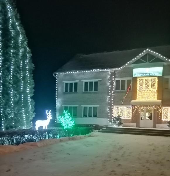 Поздравление директора Ушачского лесхоза с Рождеством и Новым годом!
