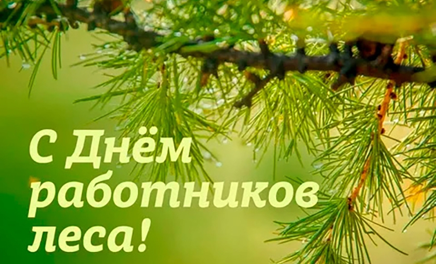 Поздравление Министра лесного хозяйства с Днем работников леса