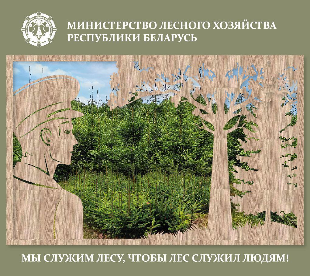 В 2026-й - с вниманием к качеству воспроизводства лесов!