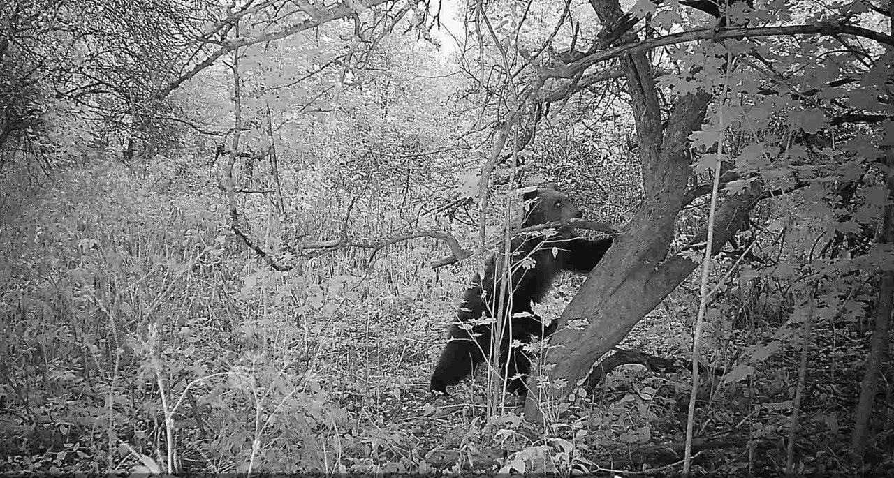 Моменты природы