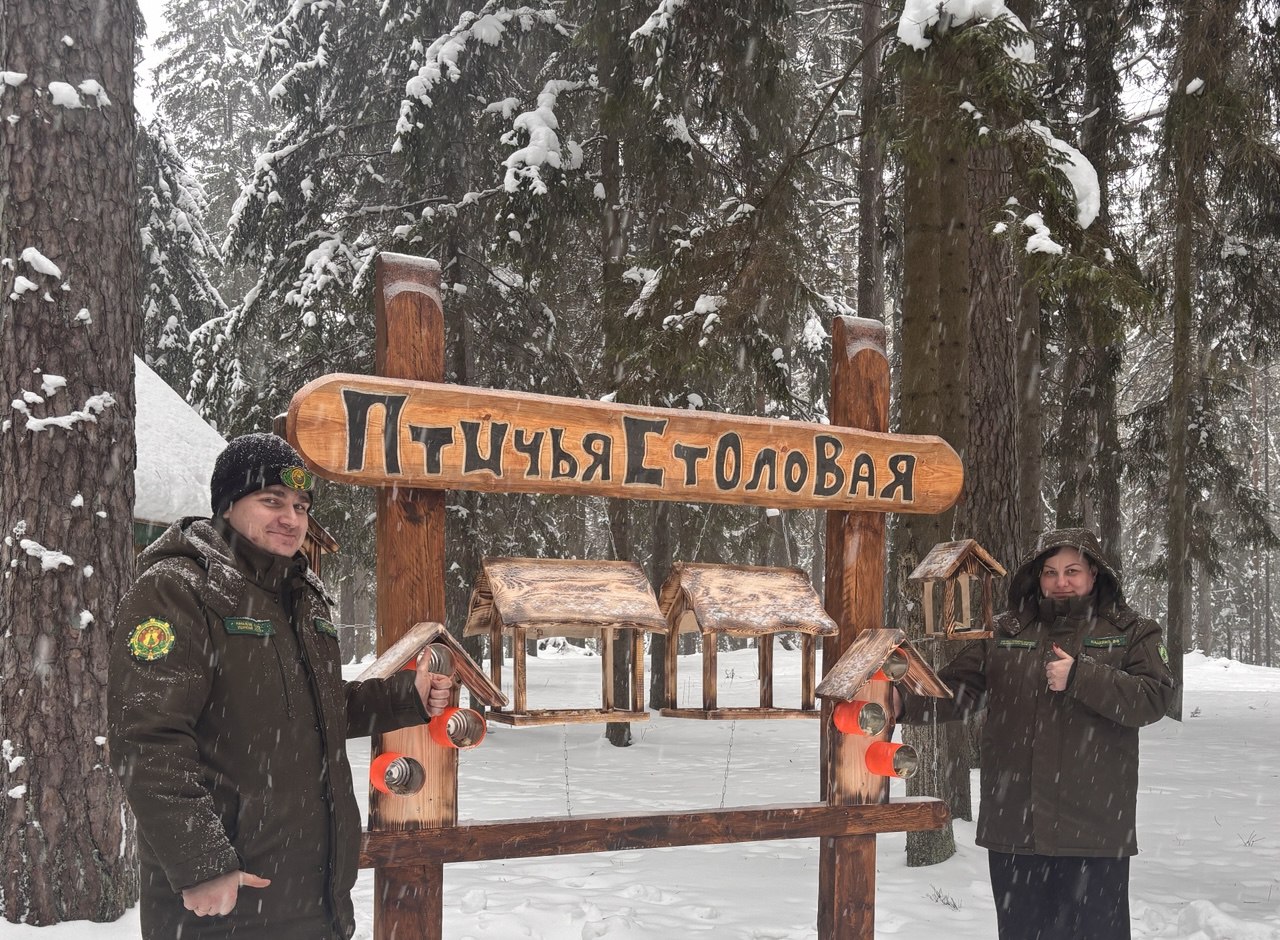 Маленькие руки — большое дело: наша «Птичья столовая» в Ушачском лесхозе!