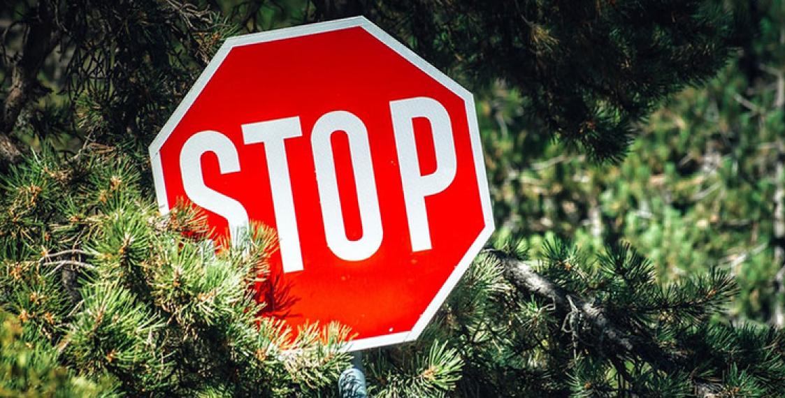 Ограничение на посещение лесов с 01.04.2025