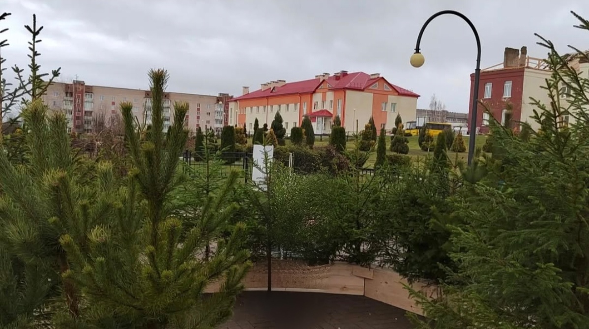 Реализация новогодних деревьев