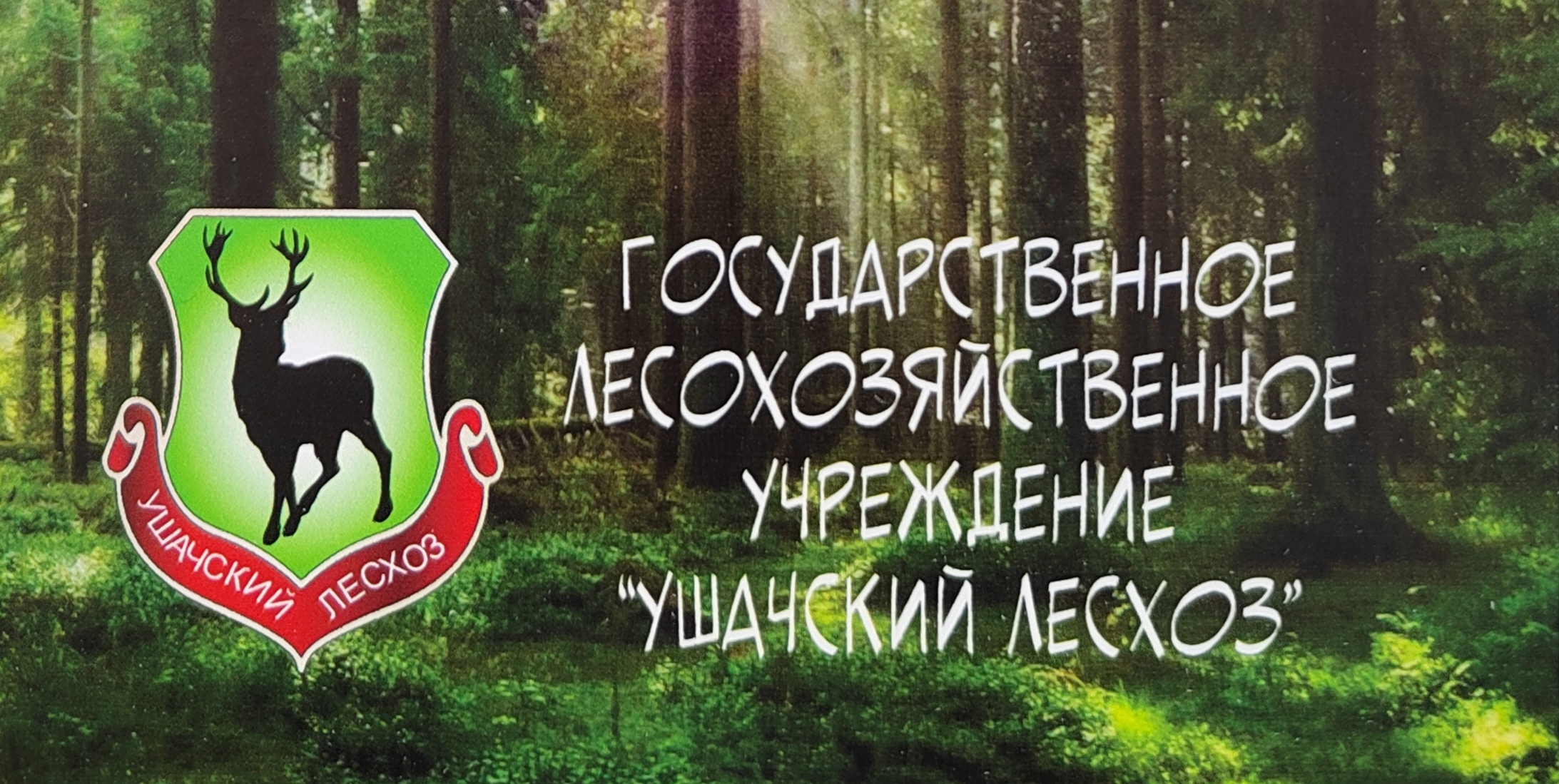 Жители Ушачского лесхоза 