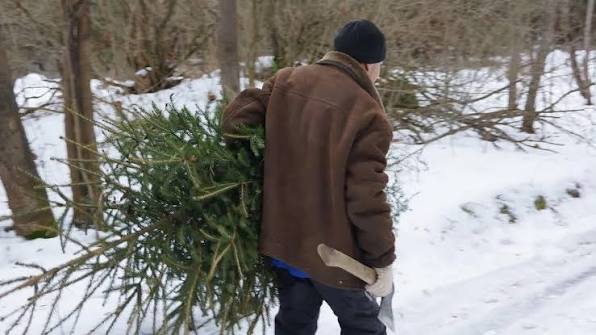 Лесная охрана Ушачского лесхоза с 15 декабря усиливает патрулирование лесов накануне новогодних праздников. 